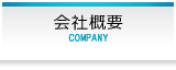 ЊTv